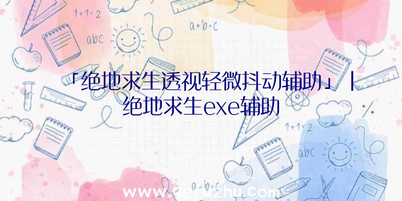 「绝地求生透视轻微抖动辅助」|绝地求生exe辅助